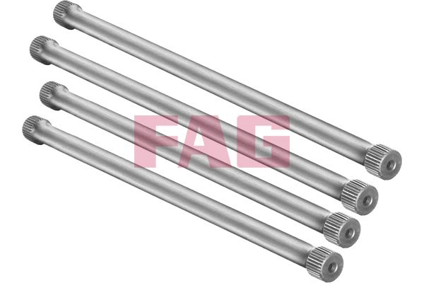Zestaw zawieszenia, sprężyny SCHAEFFLER FAG 813000130