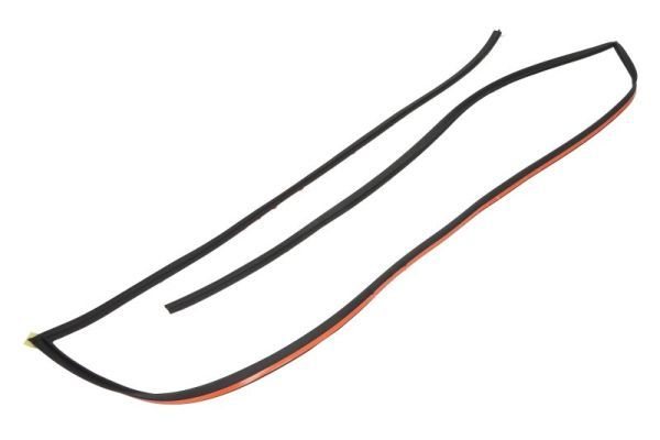 Garnitura, parbriz BLIC 5703-04-6037966Q