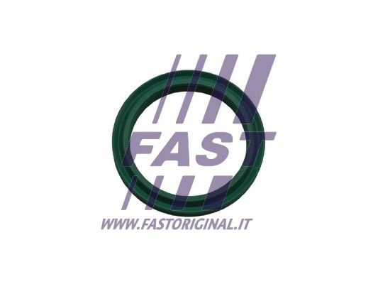 Pierścień uszczelniający, elast. przewód pow. do turbiny FAST FT48933
