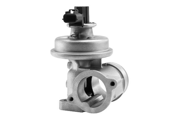 AGR / EGR - ventil BorgWarner (Wahler) 710923R