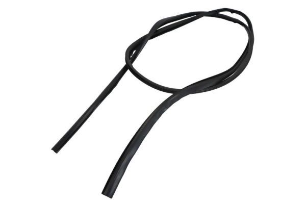 Elemente decorative/protectie, parbriz BLIC 5703-04-6037551Q