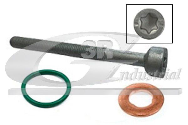 Surub, suport injector 3RG 99501