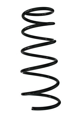 Arc spiral SPIDAN 56450