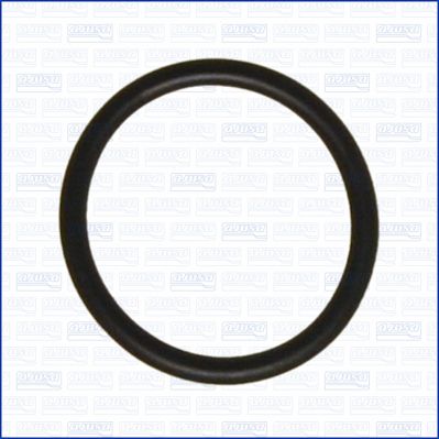 Uszczelka, rurka płynu chłodzącego AJUSA 16078300