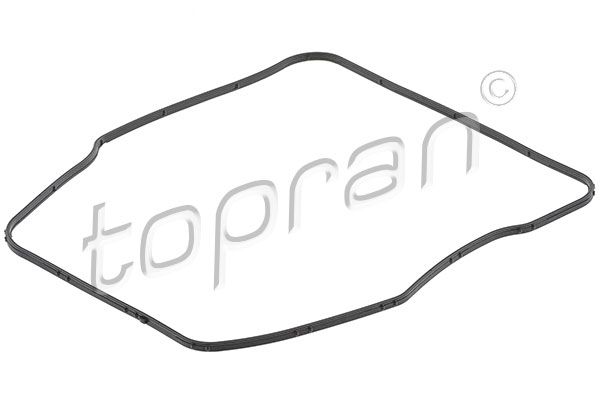 Tesnenie automatickej prevodovky TOPRAN 119 326