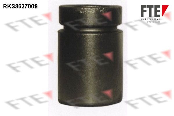 Tłoczek, zacisk hamulca FTE 9313351