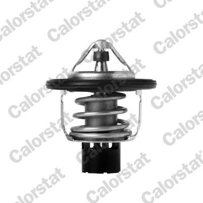 termostat,lichid racire CALORSTAT by Vernet TH7418.88J