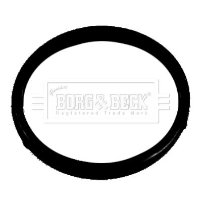 Termostat, środek chłodzący BORG & BECK BG047