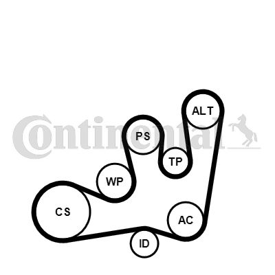 Zestaw paska klinowego wielorowkowego CONTINENTAL CTAM 6PK1642K1