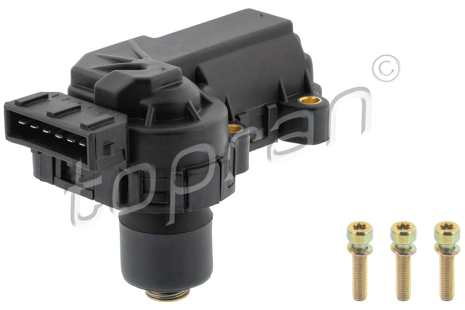 Control, clapeta acceleratie TOPRAN 111 613