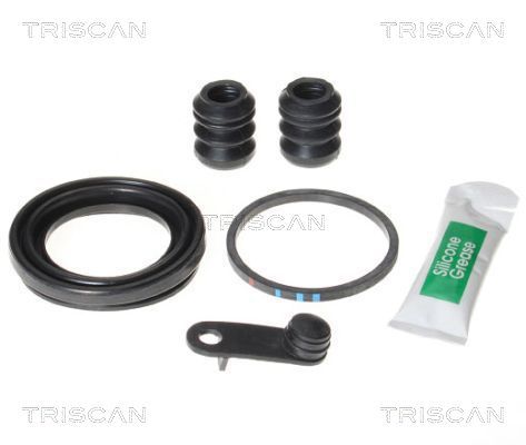 Zestaw naprawczy, zacisk hamulca TRISCAN 8170 204808