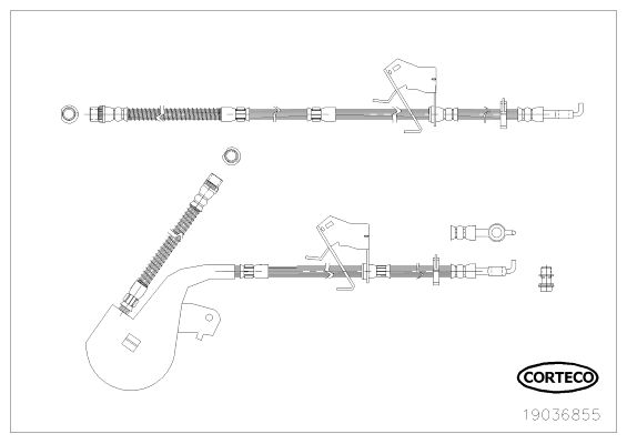 Brzdová hadica CORTECO 19036855