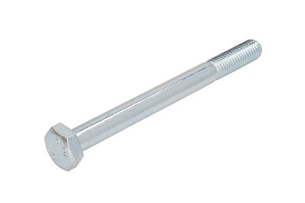 Зажимный болт, несущий / направляющий шарнир