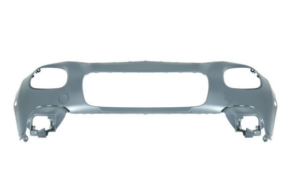 tampon BLIC 5510-00-0532906P