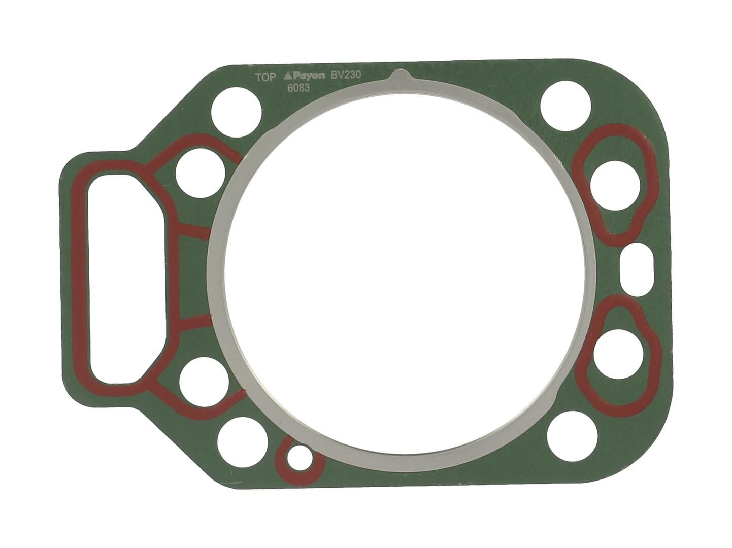 Garnitura, chiulasa PAYEN BV230