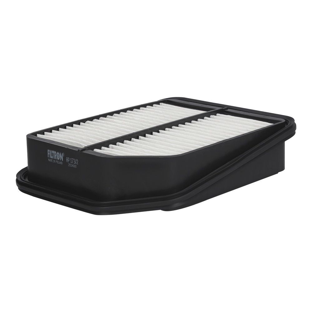 Levně Vzduchový filtr FILTRON AP 173/2