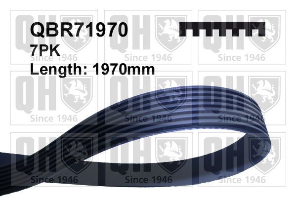 Pasek klinowy wielorowkowy QUINTON HAZELL QBR71970