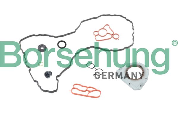 Set garnituri, chiulasa BORSEHUNG B19191