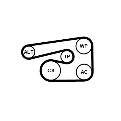 Zestaw paska klinowego wielorowkowego CONTINENTAL CTAM 5PK1546K1