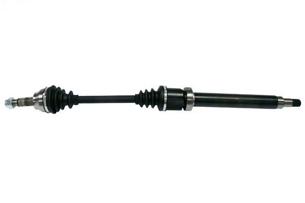 MTR 13216887
