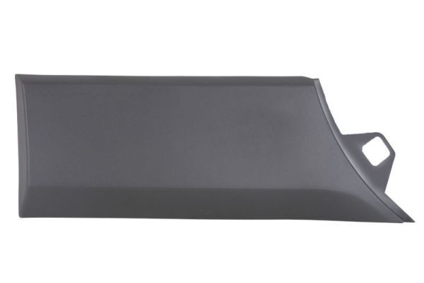 Ehis-/kaitseliist,Poritiib