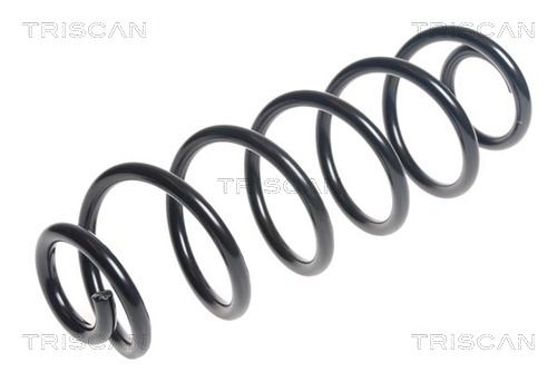 Arc spiral TRISCAN 8750 29388