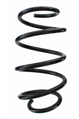 Arc spiral SPIDAN 87456