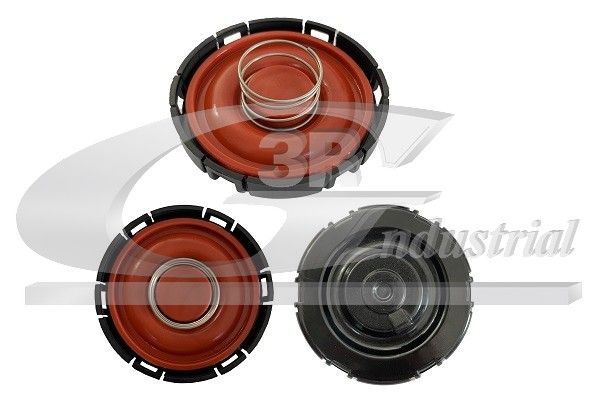 ventil, aerisire carter 3RG 81108