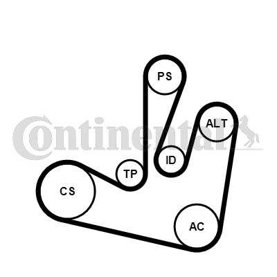 Zestaw paska klinowego wielorowkowego CONTINENTAL CTAM 6PK1750K2