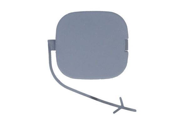 acoperire tampon,sistem de remorcare BLIC 5513-00-2009975P