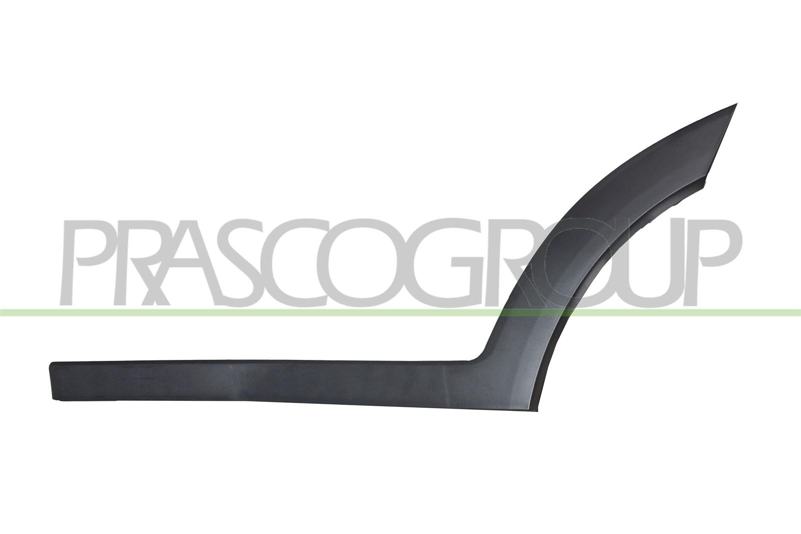 Elemente decorative/protectie, portiera PRASCO HN8061454