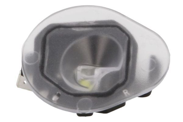 Lumini mediu inconjurator, oglinda exterioara BLIC 5406-55-0612106P