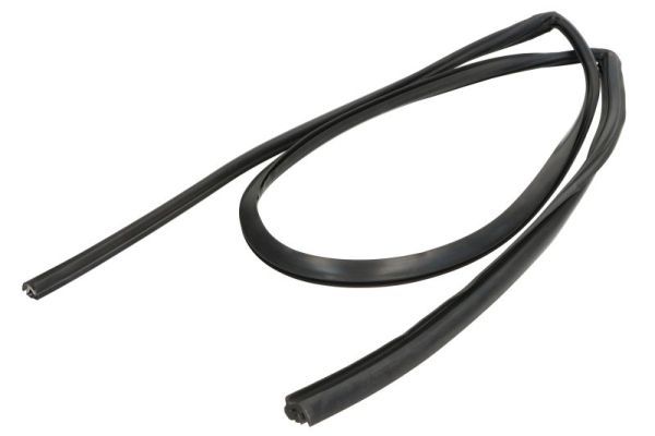 Garnitura, parbriz BLIC 5703-04-6037032Q