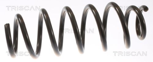 Arc spiral TRISCAN 8750 8101