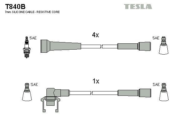 Set cablaj aprindere TESLA T840B