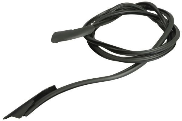 Elemente decorative/protectie, parbriz BLIC 5703-04-6037570Q