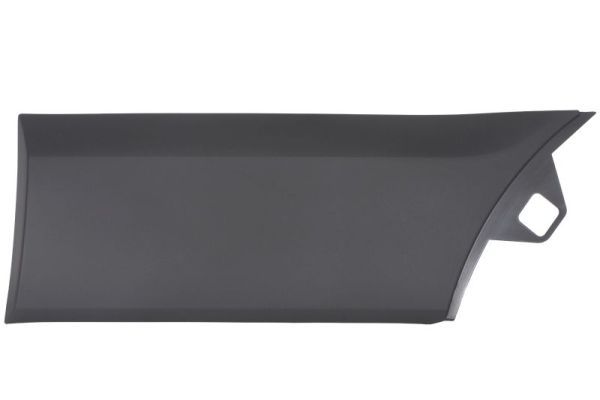 Ehis-/kaitseliist,Poritiib