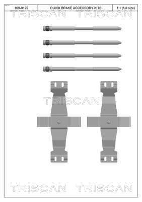 Set accesorii, placute frana TRISCAN 8105 801602