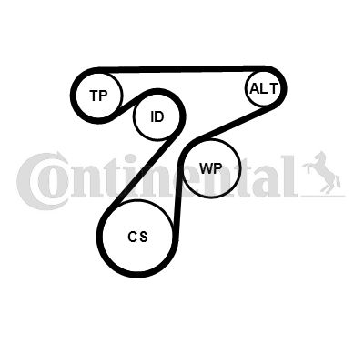 Zestaw paska klinowego wielorowkowego CONTINENTAL CTAM 6PK1345K3