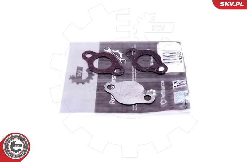 Set de reparație, supapă AGR ESEN SKV 14SKV572