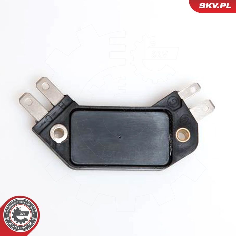 bobina de inductie ESEN SKV 03SKV905