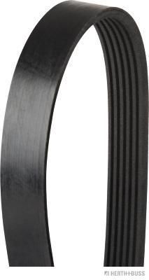 Pasek klinowy wielorowkowy HERTH+BUSS JAKOPARTS J1061548