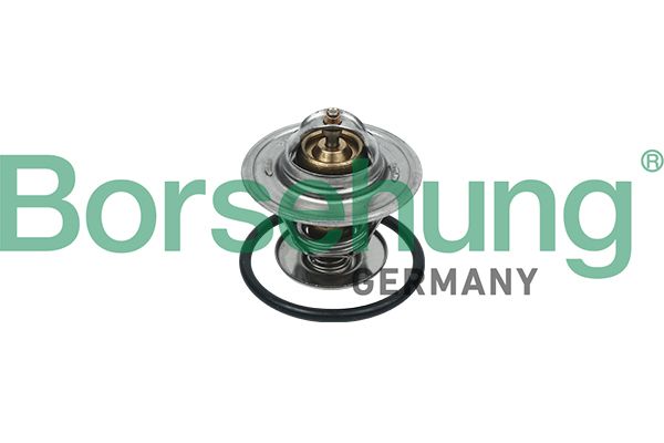 Termostat, środek chłodzący BORSEHUNG B18246