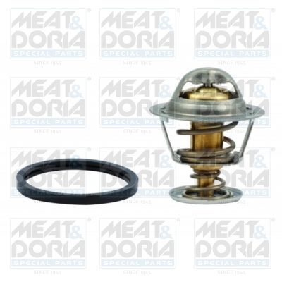 Termostat, środek chłodzący MEAT & DORIA 92316