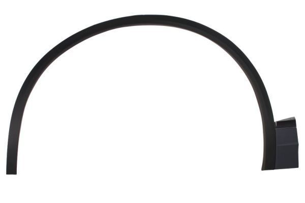 Ehis-/kaitseliist,Poritiib