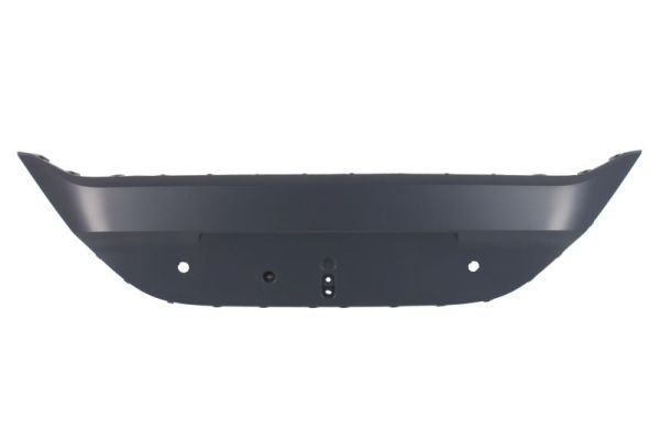 Ehis-/kaitseliist,Põrkeraud