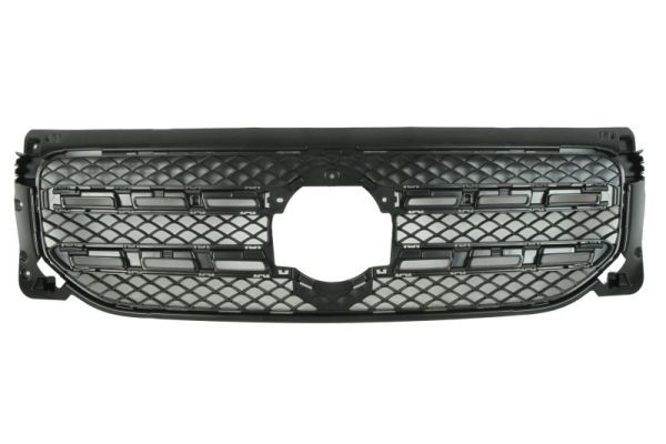 Grille de radiateur