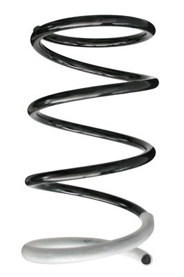 Arc spiral SPIDAN 86410