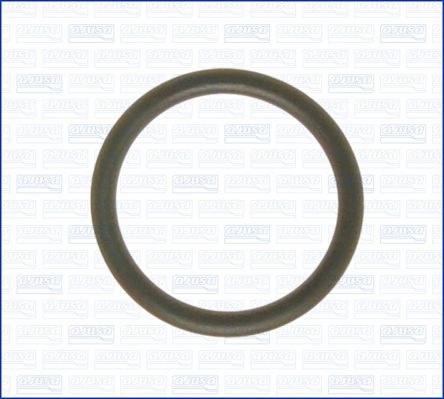 Uszczelka, rurka płynu chłodzącego AJUSA 16057100