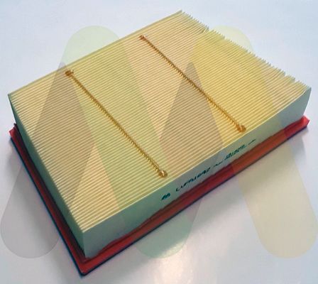 Filtru aer MOTAQUIP LVFA1642